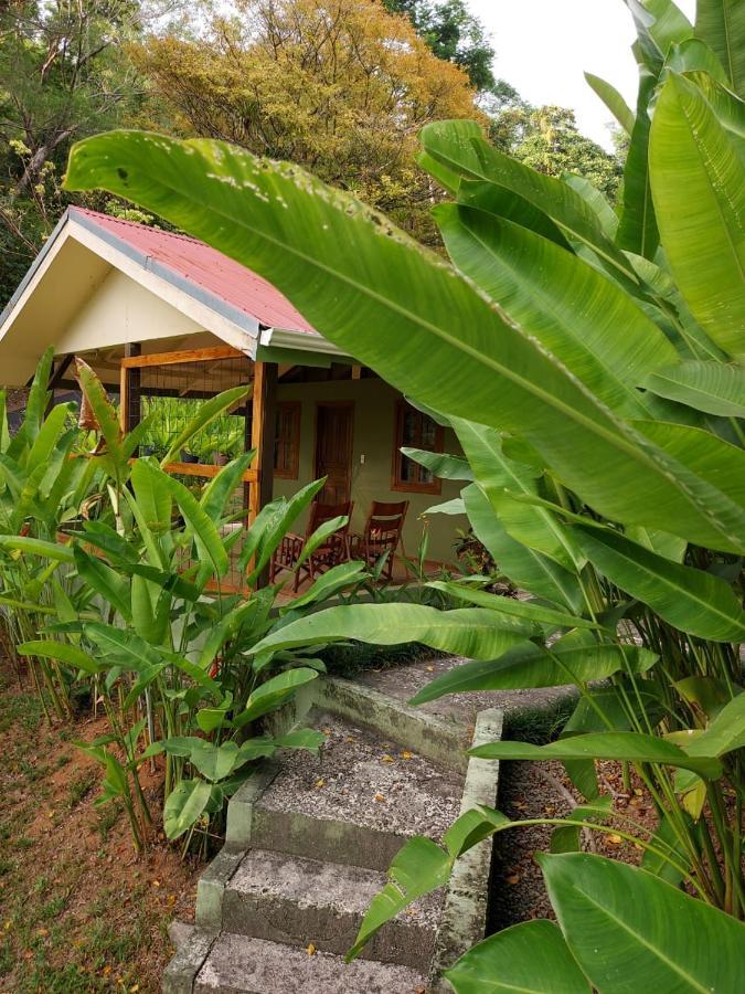 Cabina Rancho La Merced Uvita Ngoại thất bức ảnh