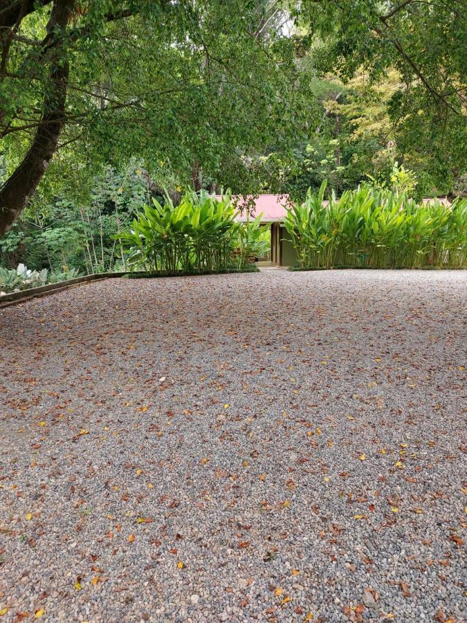 Cabina Rancho La Merced Uvita Ngoại thất bức ảnh